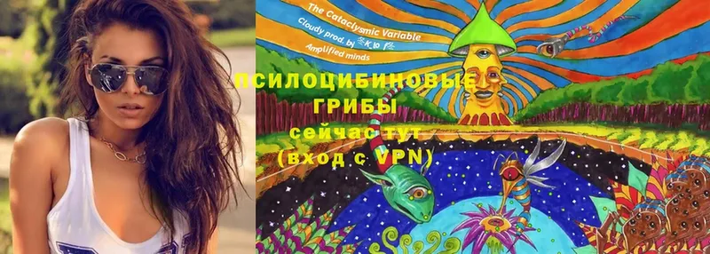 даркнет сайт  Саратов  kraken tor  Галлюциногенные грибы Psilocybe 